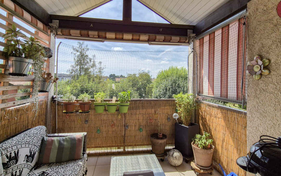 Magnifique attique  à Echallens